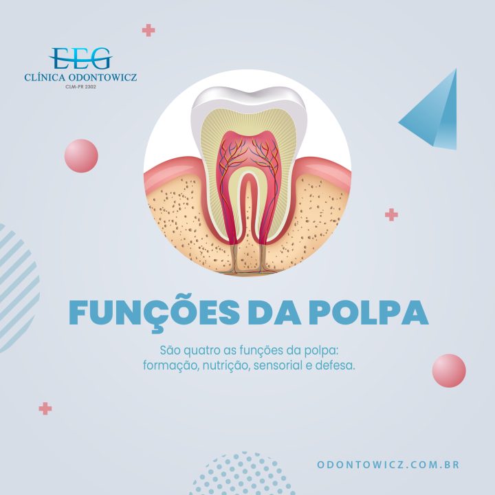 Funções da polpa